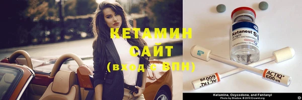 стаф Аркадак