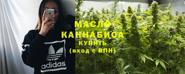 стаф Аркадак