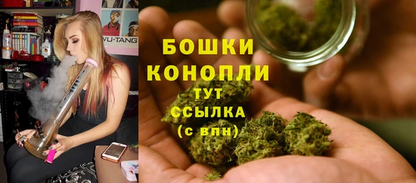 амф Арсеньев