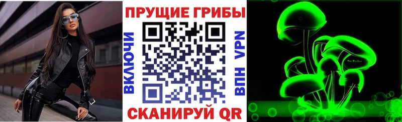 Псилоцибиновые грибы Cubensis  Купить  Нижний Тагил 